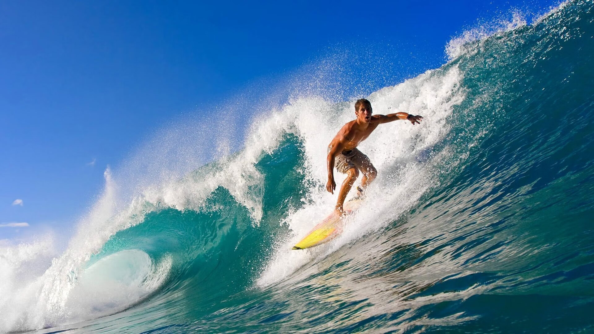 中国皮划艇队亚锦赛夺金创历史 新生代力量闪耀国际赛场